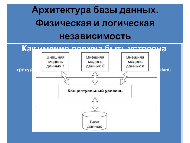 Банк данных история. Архитектура банков данных.. Компьютерный банк данных. Банк данных это в информатике. Из чего состоит банк данных.