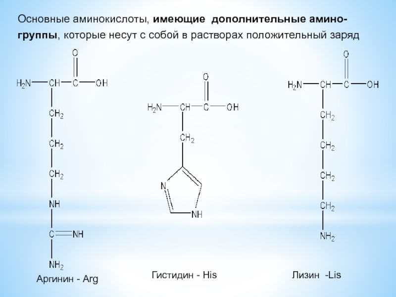 Аминокислоты белки 9 класс химия презентация