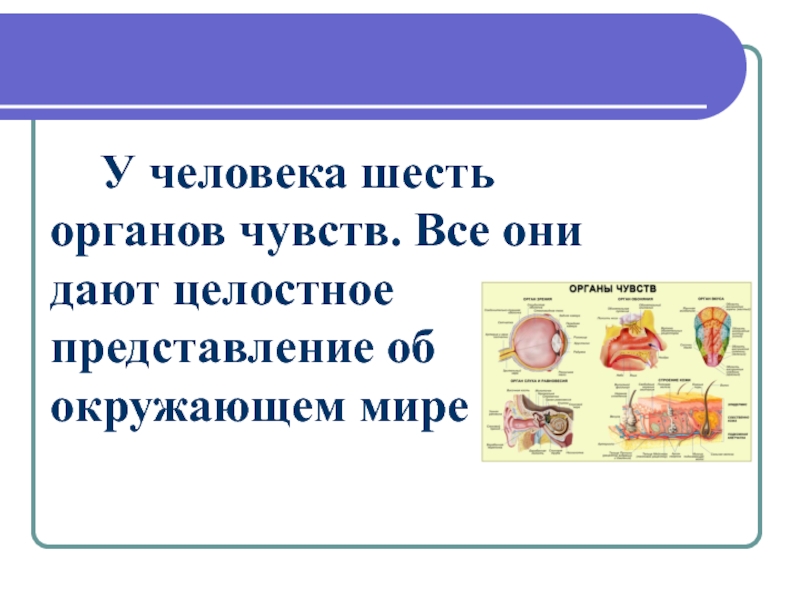 6 чувств человека. 6 Органов чувств. Шесть чувств человека. Сколько органов чувств у человека. Органы чувств человека шестое чувство.