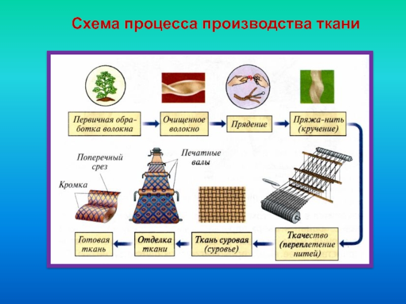 Продолжите схему получения ткани