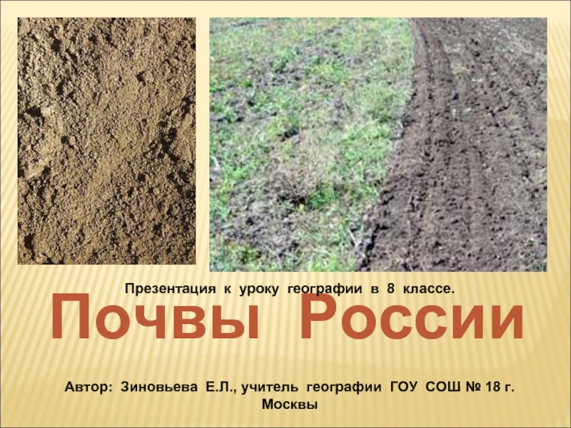 Презентация Почвы России