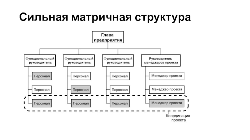 Функционально матричная структура