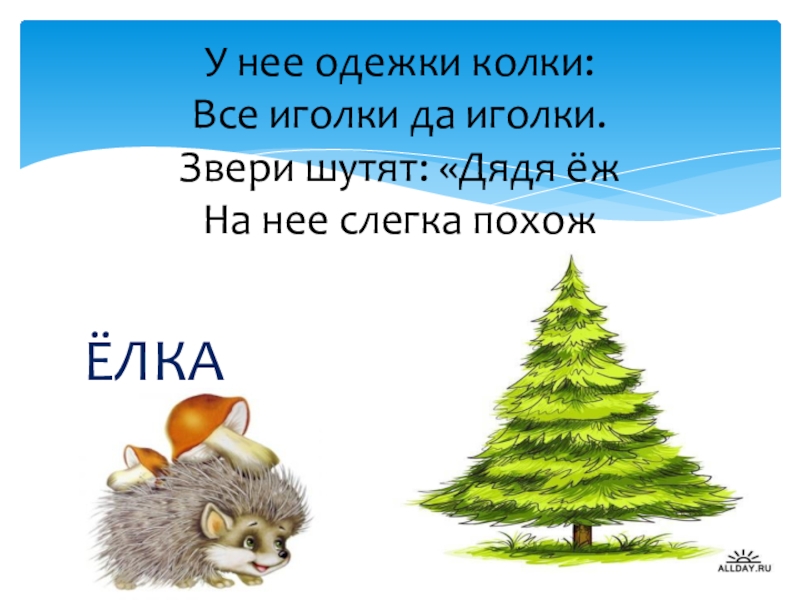 Загадки про ежика для детей 6 7. Загадка про елку. Загадка про елку для детей. Загадка про елочку. У ёлки иголки колки.