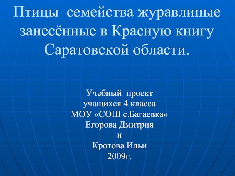 Презентация Птицы семейства журавлиные занесённые в Красную книгу Саратовской области