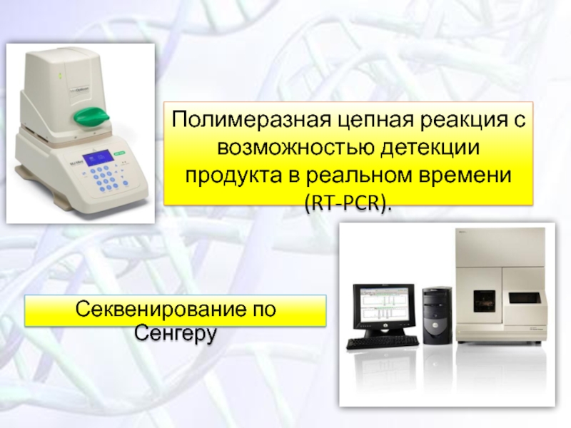 Пцр с детекцией в режиме реального времени. ПЦР секвенирование. ПЦР плюсы и минусы. Детекция и стимуляция состоятельны. ПЦР тест коронирус Изобильный.