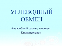 ГликолизГлюконеогенез.ppt
