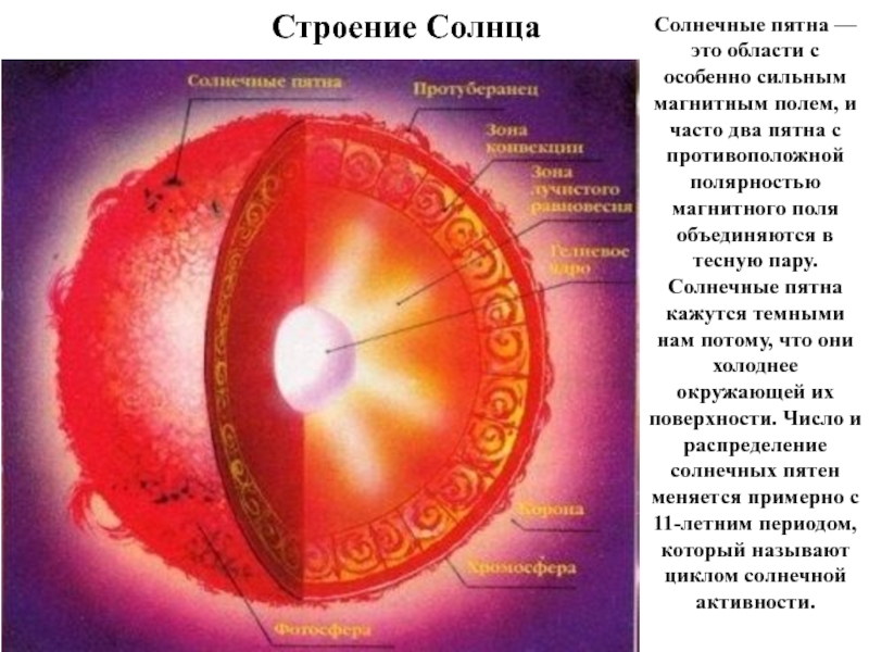 Солнце строение. Внутреннее строение солнца Фотосфера. Внутреннее строение солнца схема. Солнце внутреннее строение солнца. Слои внутреннего строения солнца.