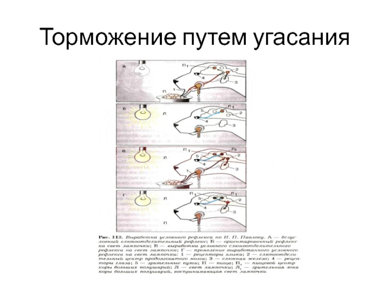 Ступень торможения в зимний период. Угасание торможение примеры. Торможение судна. Возбуждение и торможение картинки. Тормозящий путь.