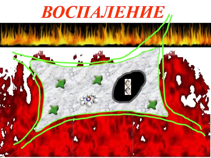 Презентация ВОСПАЛЕНИЕ
ВОСПАЛЕНИЕ
ВОСПАЛЕНИЕ
ВОСПАЛЕНИЕ
ВОСПАЛЕНИЕ
ВОСПАЛЕНИЕ
ВОСПАЛЕНИЕ
ВОС