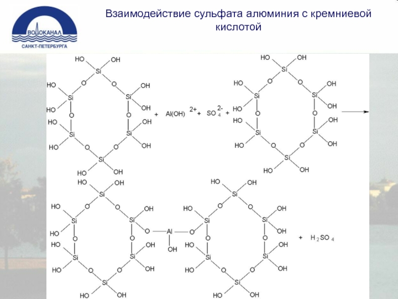 Химические процессы алюминия. Ортокремниевая кислота строение. Взаимодействие сульфата алюминия с водой. Полимеризация кислот кремния. Взаимодействие Кремниевой кислоты.