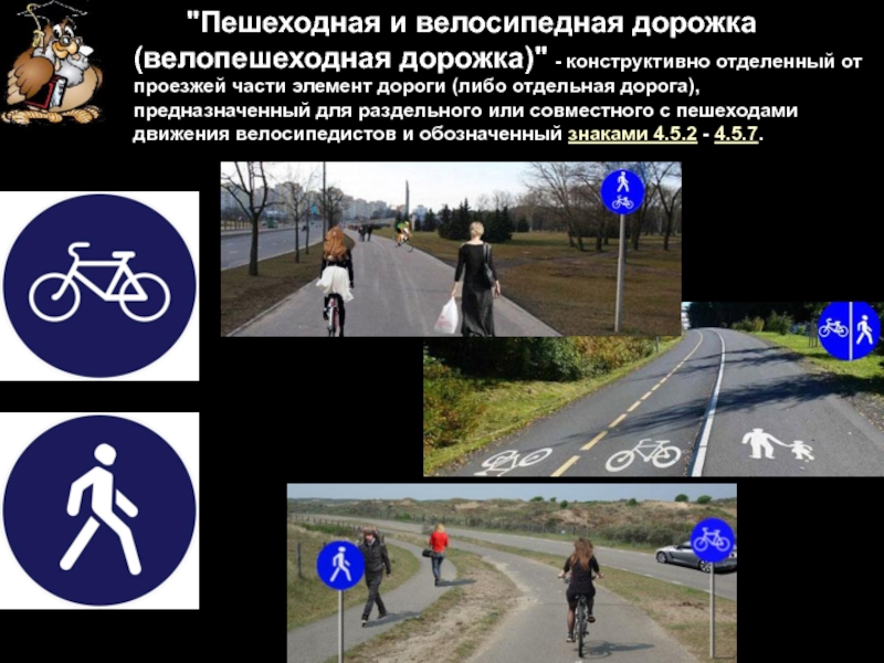Велосипедная дорожка возраст. Велосипедная дорожка. Пешеходная дорожка и велосипедная дорожка. Велосипедная дорожка конструктивно. Вело пешеходная дорожка.