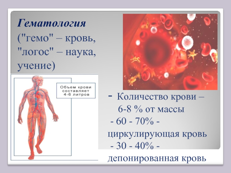 Какого размера кровь. Презентация на тему кровь. Кровь гематология. Циркулирующая и депонированная кровь.