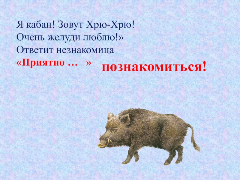 План кабан это