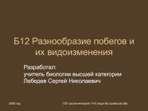 Разнообразие побегов и их видоизменения 6 класс