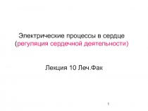 Электрические процессы в сердце (регуляция сердечной деятельности