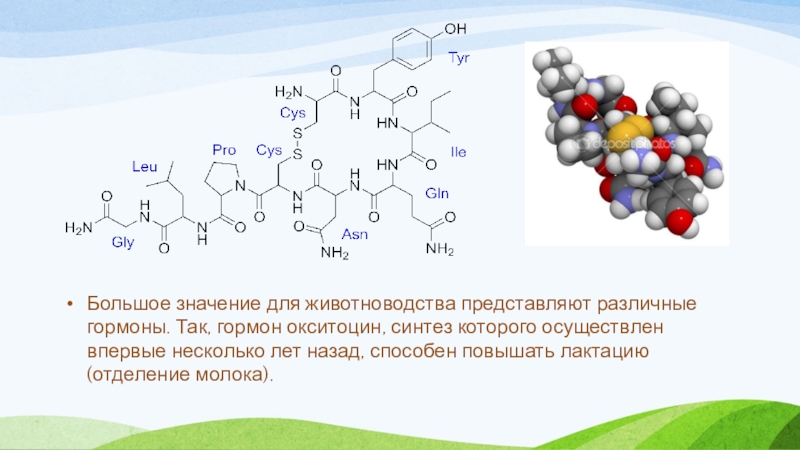 Синтез окситоцина схема