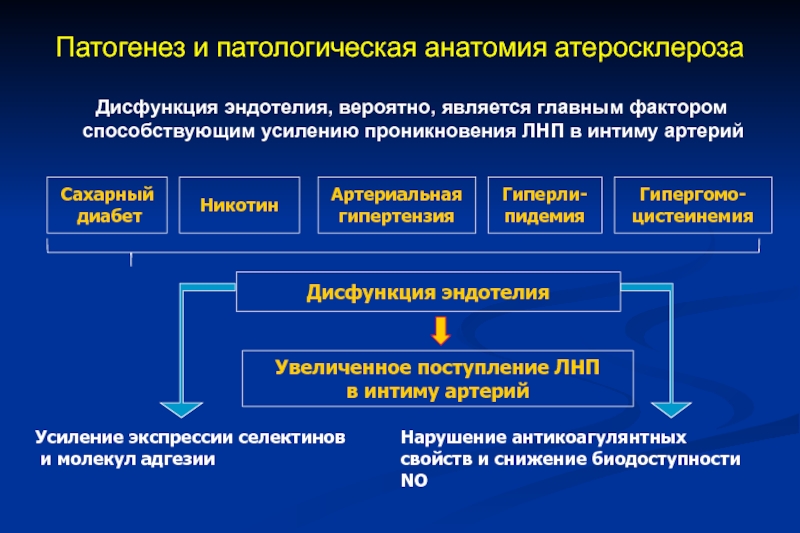 Сахарный диабет патанатомия презентация