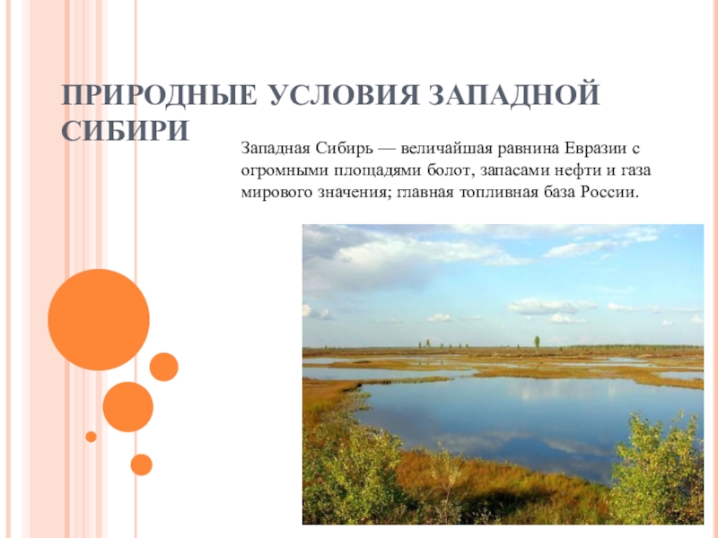 Природные условия Западной Сибири.