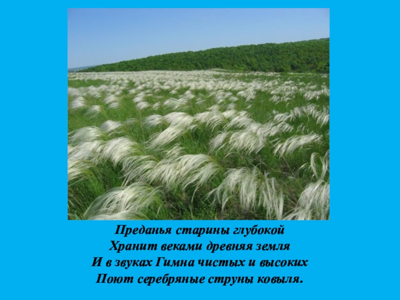 Заповедник имени алехина в курской области презентация