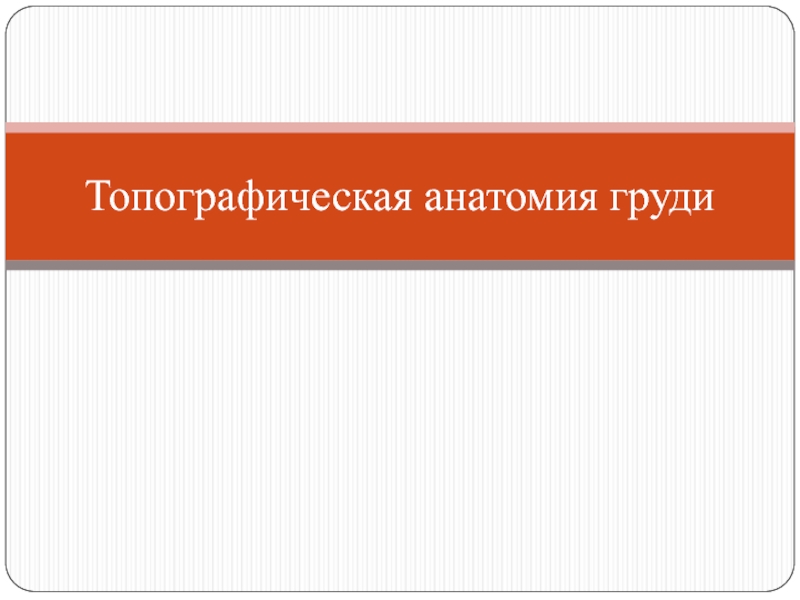 Презентация Топографическая анатомия груди