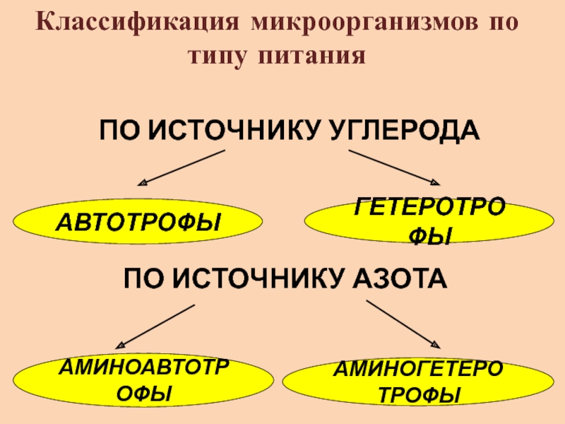 Источник углерода. Классификация микроорганизмов по типу питания. Классификация микроорганизмов по источнику питания. Классификация микроорганизмов по источнику азота. Классификация микроорганизмов по источникам углерода.