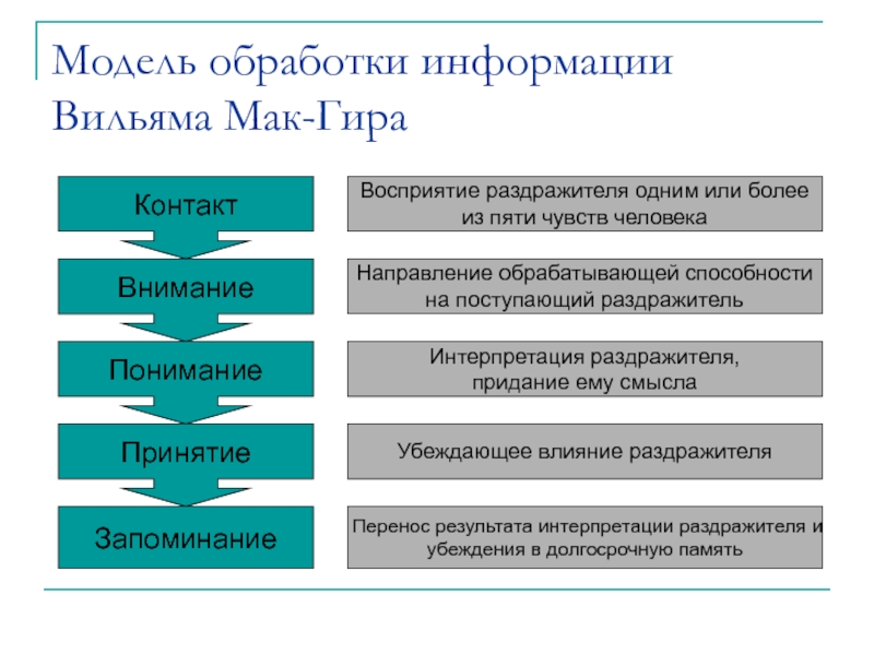 Модель обработки. Модели обработки информации Вильяма Мак-Гира. Модель обработки информации. Модель обработки информации схема. Схема восприятия и обработки информации.