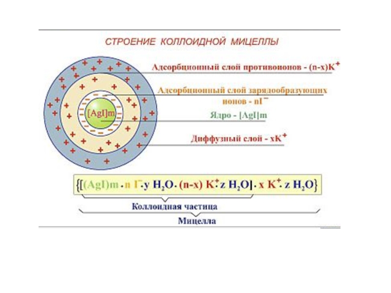 Схема строения коллоидной мицеллы