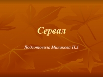 Презентация о животных африки