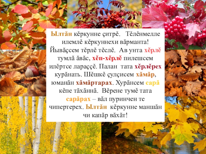 Языков осень. Сочинение про осень на чувашском языке. Сочинение про осень на чувашском. Сочинение на чувашском языке. Сочинение на тему осень на чувашском языке 5 класс.