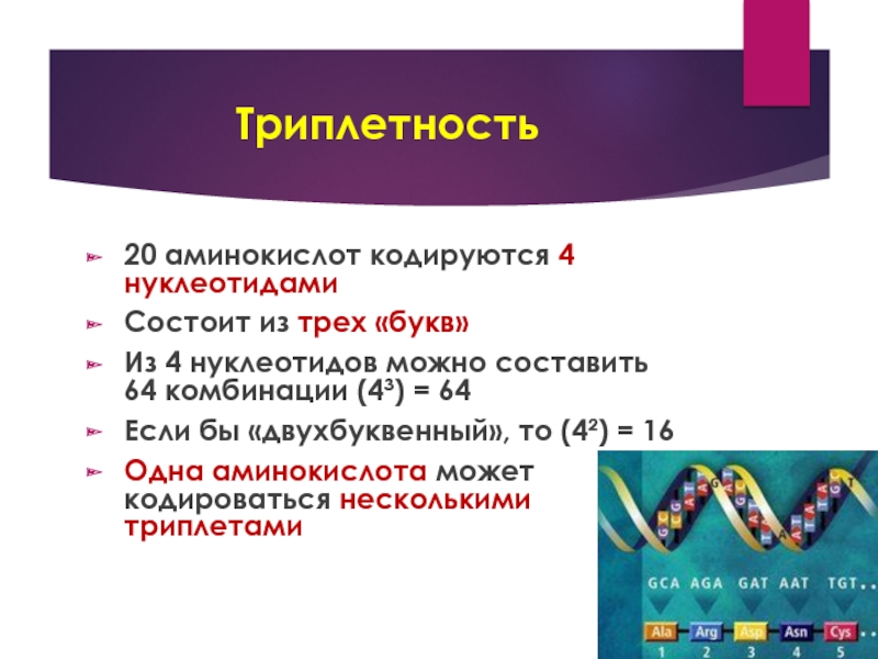 1 аминокислота кодирует 3. Триплетность. Одна аминокислота кодируется тремя нуклеотидами. Аминокислота кодируется. Одна аминокислота кодируется.