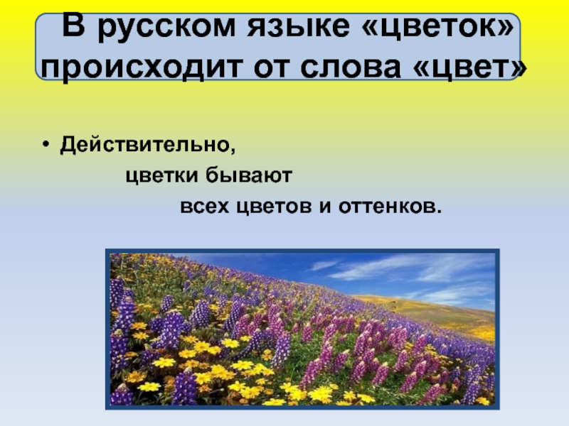 Значение слова цветок. Слово цветы. Цветок для слов в презентацию. Проект о слове цветок. Цветы на русском языке.