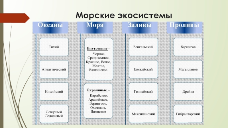 Сравните водные и наземные экосистемы на рисунке и заполните таблицу