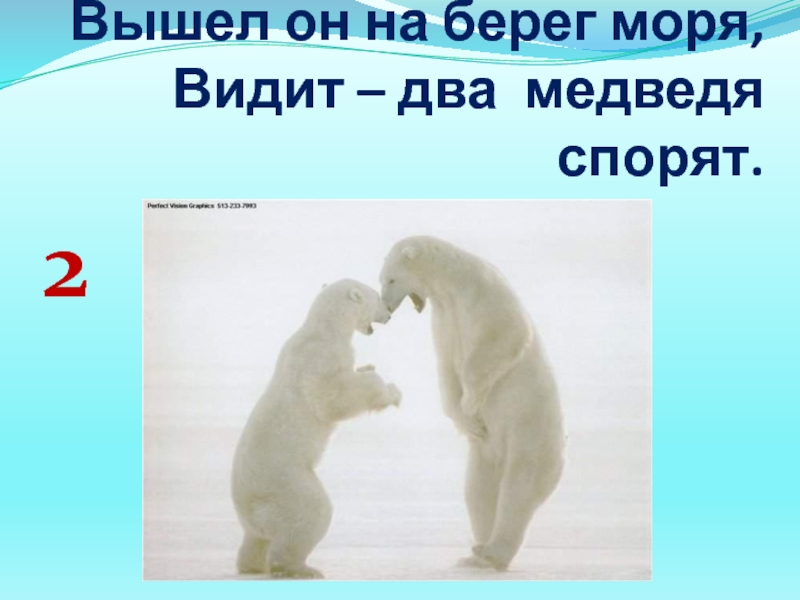 2 медведя план