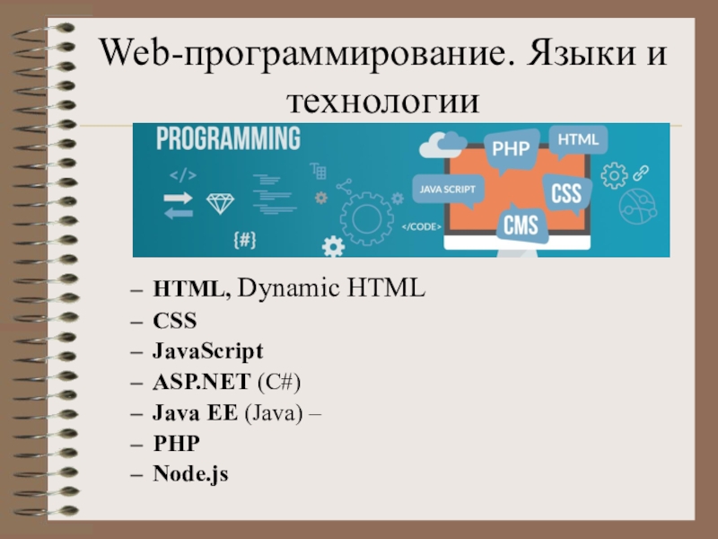 Web программирование программа. Языки веб программирования.