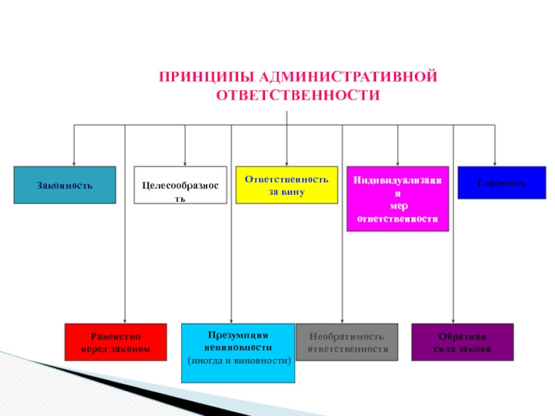 Административная ответственность рф проект