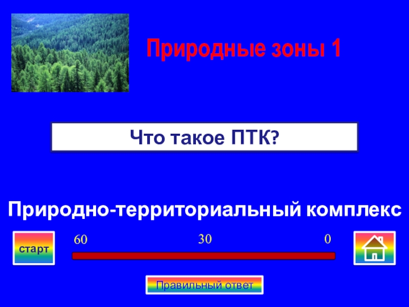 Презентация своя игра по географии 8 класс презентация