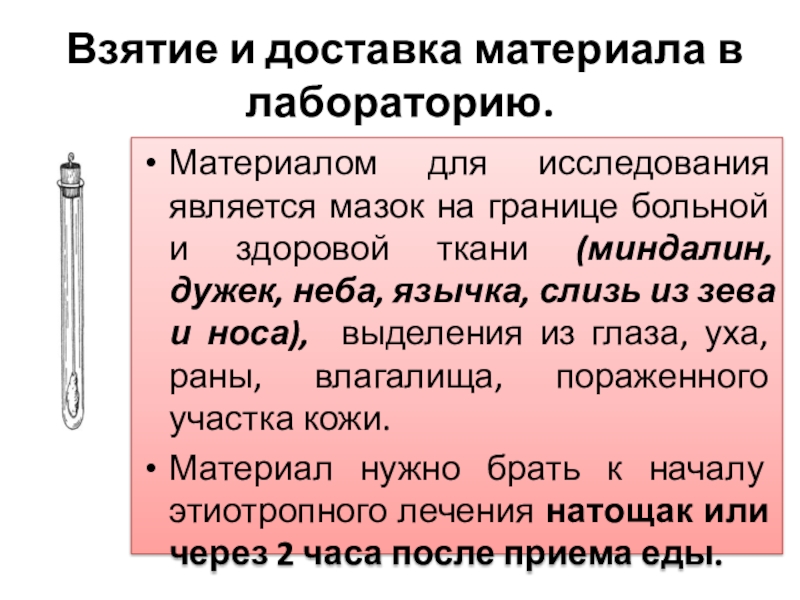 Алгоритм забора мазка из зева. Взятие материала для исследования. Мазок из зева доставляется в лабораторию. Взятие мазков на дифтерию алгоритм. Взятие мазка из зева на дифтерию.