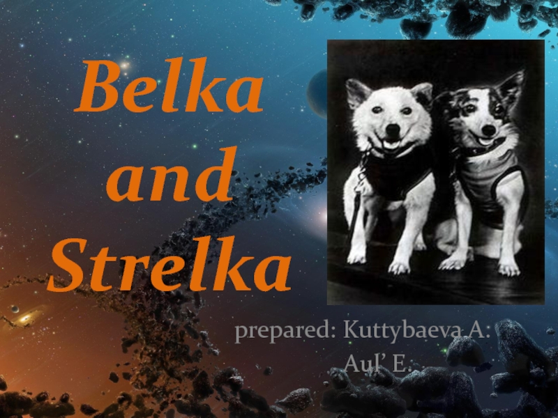 Belka and Strelka