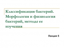 Классификация бактерий. Морфология и физиология бактерий, методы ее изучения