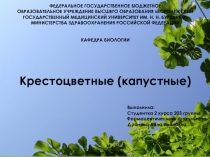 ФЕДЕРАЛЬНОЕ ГОСУДАРСТВЕННОЕ БЮДЖЕТНОЕ ОБРАЗОВАТЕЛЬНОЕ УЧРЕЖДЕНИЕ ВЫСШЕГО