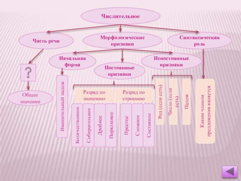 Морфологические числительные. Числительное постоянные признаки. Числительное морфологические признаки. Морфологические особенности числительных. Непостоянные морфологические признаки числительных..