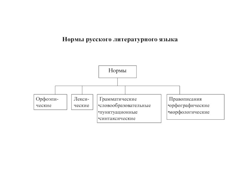 Презентация Нормы литературного языка