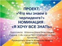 ПРОЕКТ: Что мы знаем о черлиденге ? НОМИНАЦИЯ : Я ХОЧУ ВСЕ ЗНАТЬ