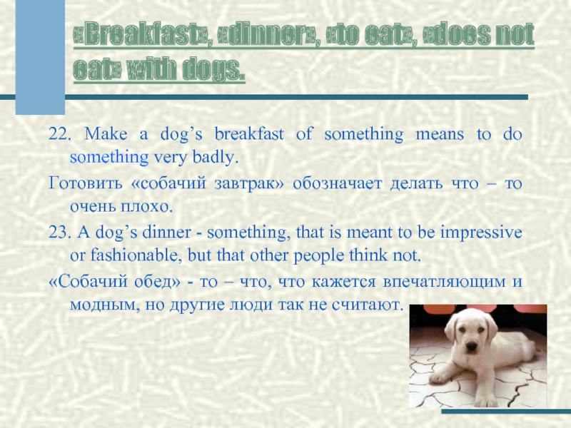 «Breakfast», «dinner», «to eat», «does not eat» with dogs.22. Make a dog’s breakfast of something means to
