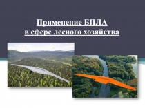 Применение БПЛА
в сфере лесного хозяйства