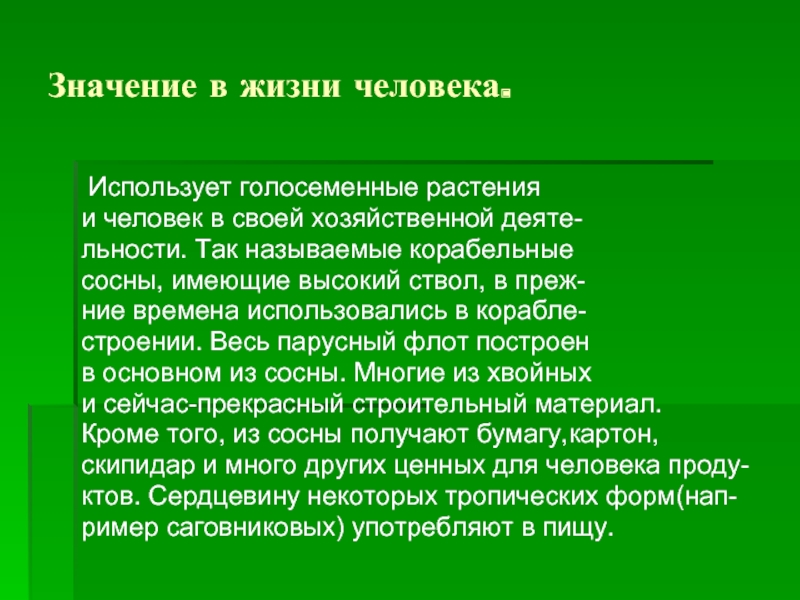 Использовать значение. Значение голосеменных в жизни человека. Роль голосеменных растений в природе и жизни человека. Значение голосеменных растений в жизни человека. Роль голосеменных растений в жизни человека.