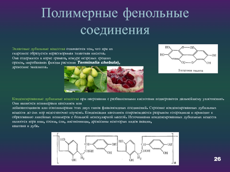 Фенольные соединения презентация