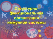 СТРУКТ-ФУНКЦ ОРГАНИЗАЦИЯ ИС