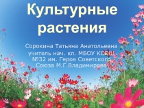 Презентация к уроку окружающего мира на тему 