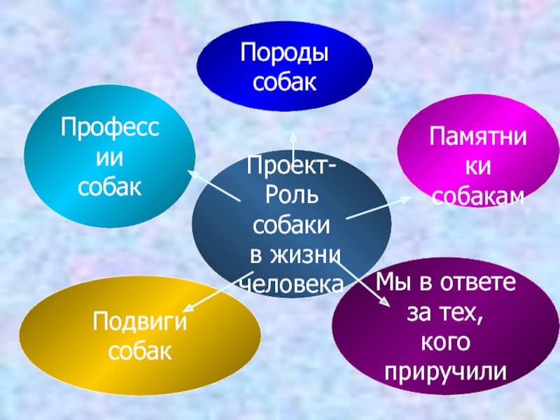 Роль собак в жизни человека проект 4 класс